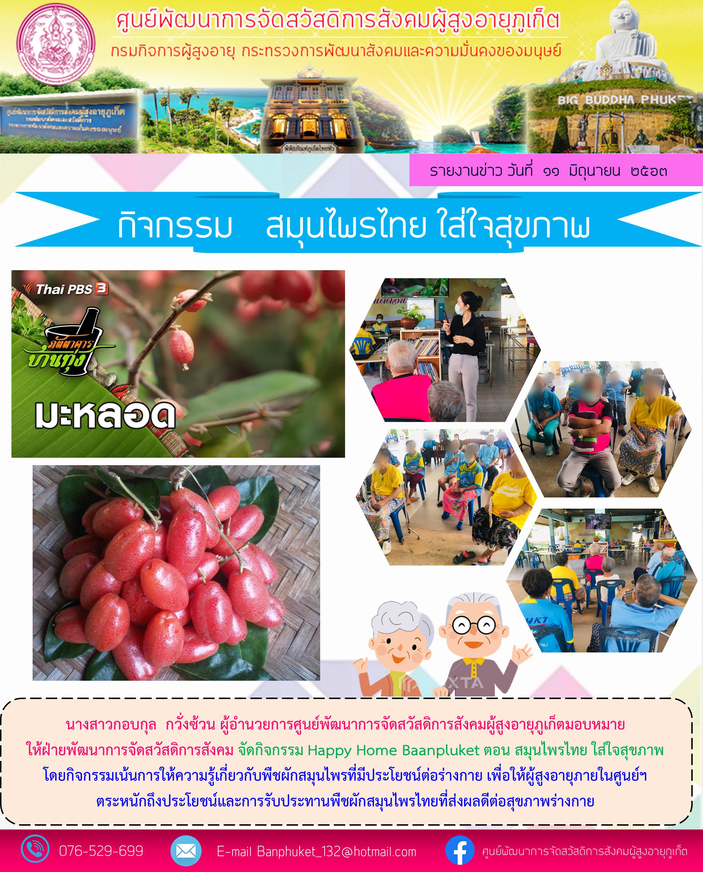 กิจกรรมสมุนไพร ใส่ใจสุขภาพ